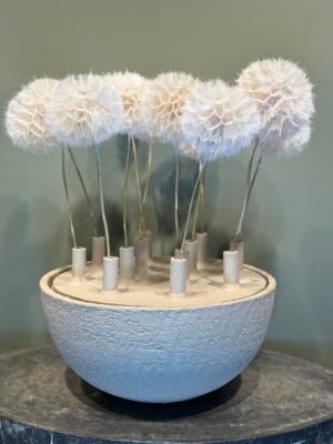 Tulpenvaas