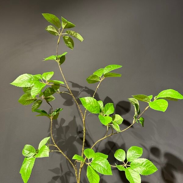 Blad tak 'Elder Green' 124cm