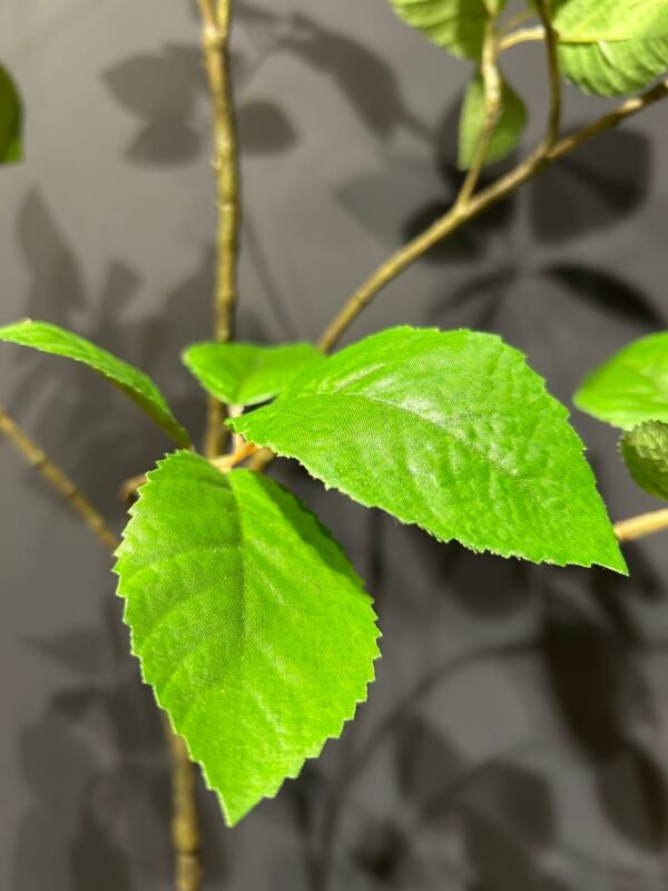 Blad tak 'Elder Green' 124cm