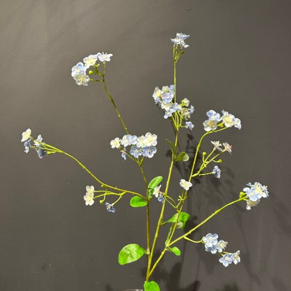 Myosotis tak lichtblauw 76cm