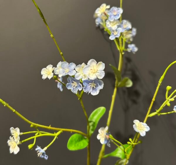 Myosotis tak lichtblauw 76cm
