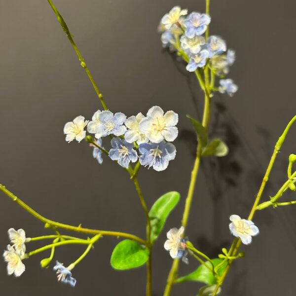 Myosotis tak lichtblauw 76cm
