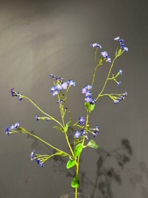 Myosotis tak blauw 76cm