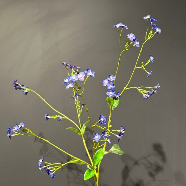 Myosotis tak blauw 76cm