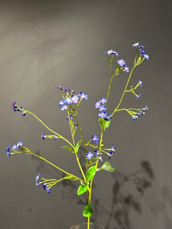 Myosotis tak blauw 76cm