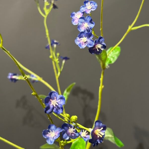 Myosotis tak blauw 76cm