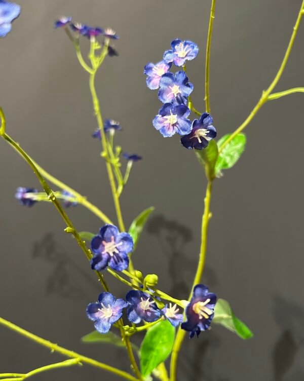 Myosotis tak blauw 76cm