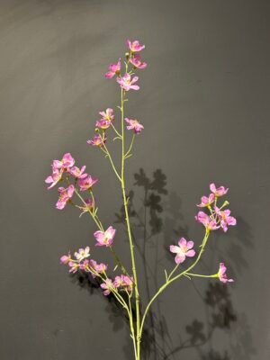 Delphinium tak lila 81cm