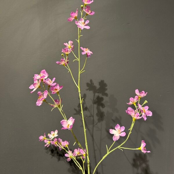 Delphinium tak lila 81cm