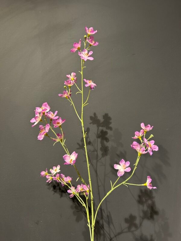 Delphinium tak lila 81cm
