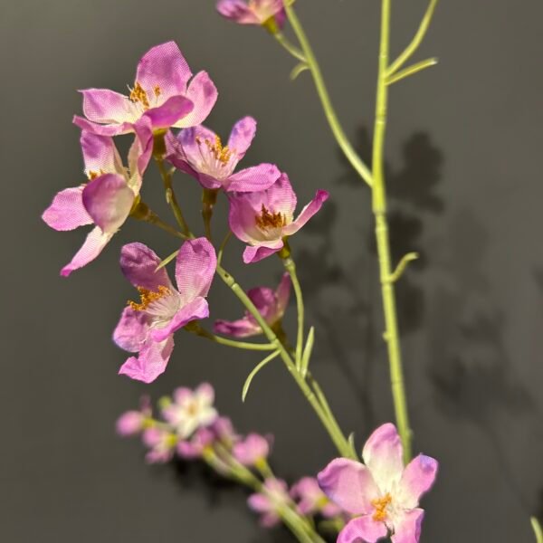 Delphinium tak lila 81cm