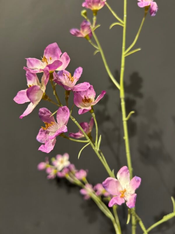 Delphinium tak lila 81cm