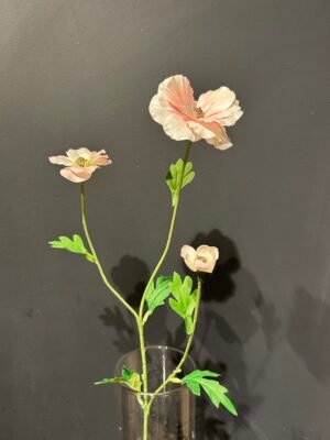 Ranonkel 'Butterfly' roze 58cm