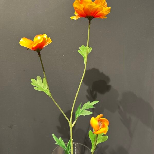 Ranonkel 'Butterfly' oranje 58cm