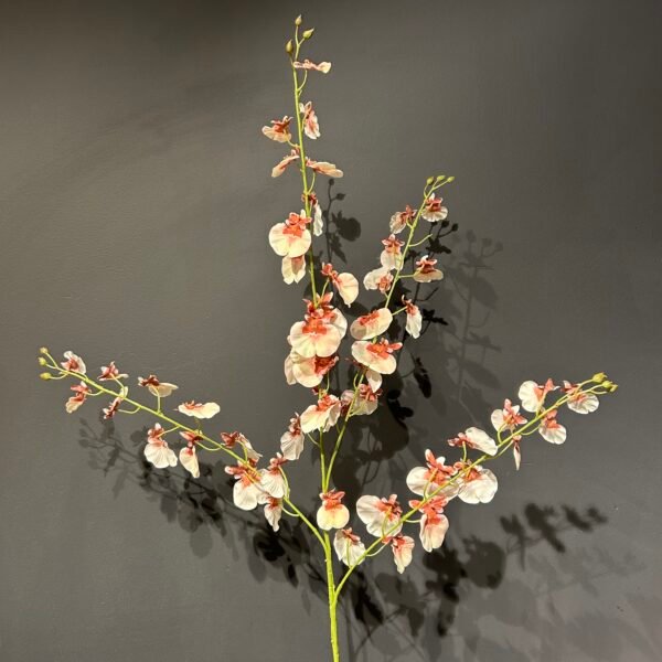 Oncidium tak roze/rood 118cm