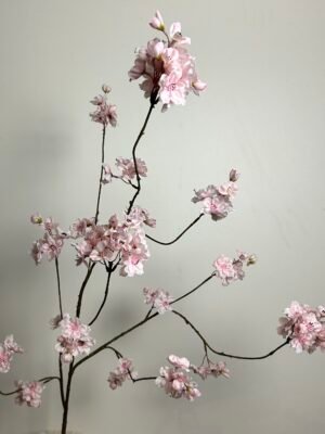 Bloesem (Prunus) roze