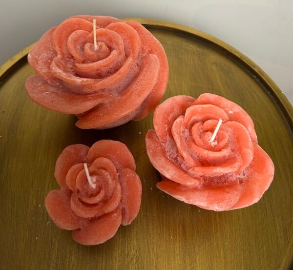 IMG_4151 Rozenkaars oranje