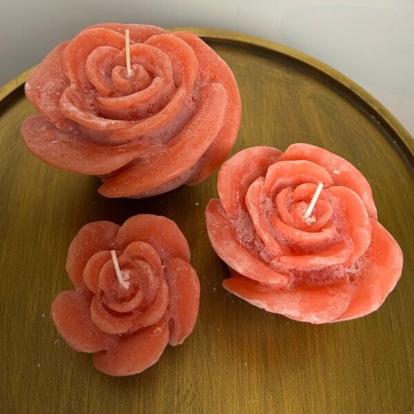 IMG_4151 Rozenkaars oranje